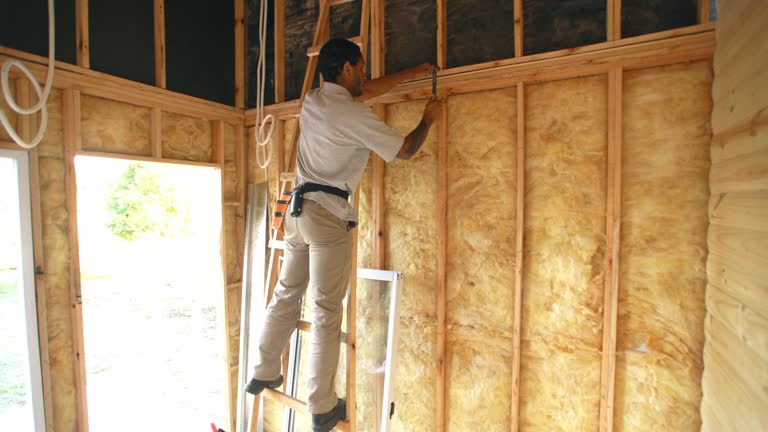 Best Basement Insulation  in Penn Yan, NY